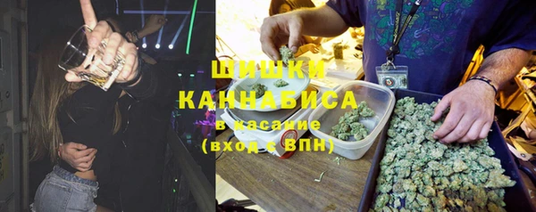 тгк Алзамай