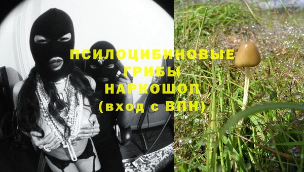 каннабис Абаза