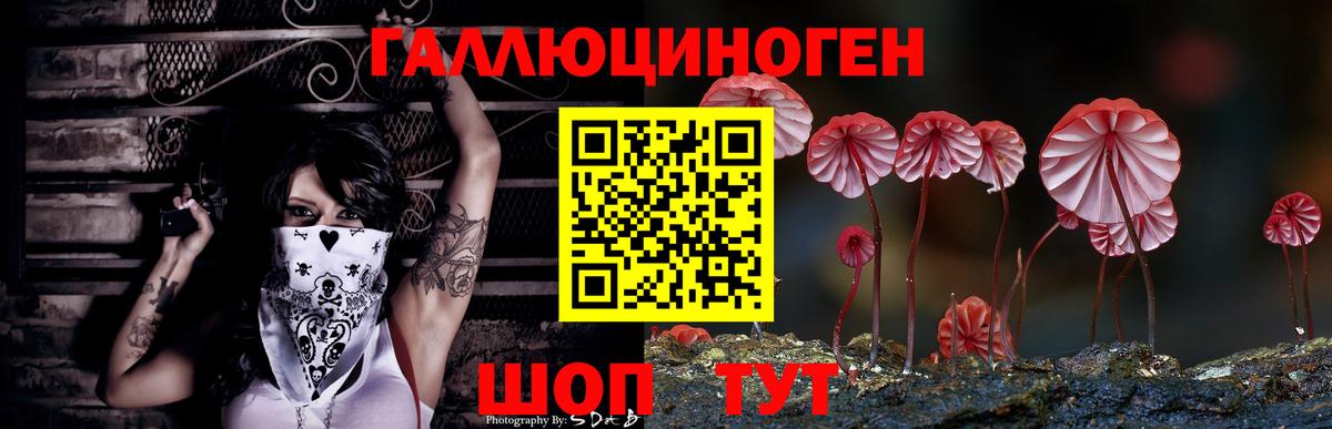 закладка  Псилоцибиновые грибы MAGIC MUSHROOMS  Галлюциногенные грибы Magic Shrooms  Вход с VPN  Усть-Илимск 